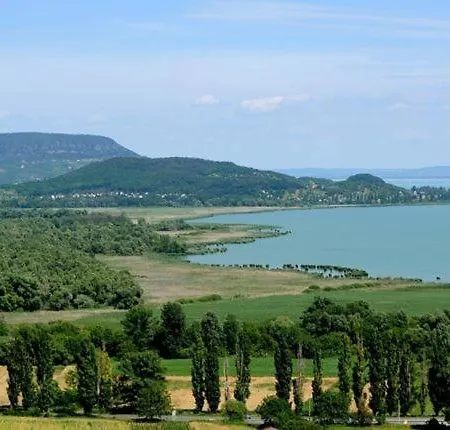 Aranykagyló *