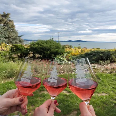 Aranykagylo Nyaralohaz דירה *