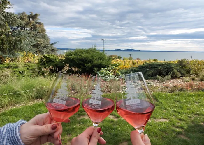 Aranykagylo Nyaralohaz Apartament *